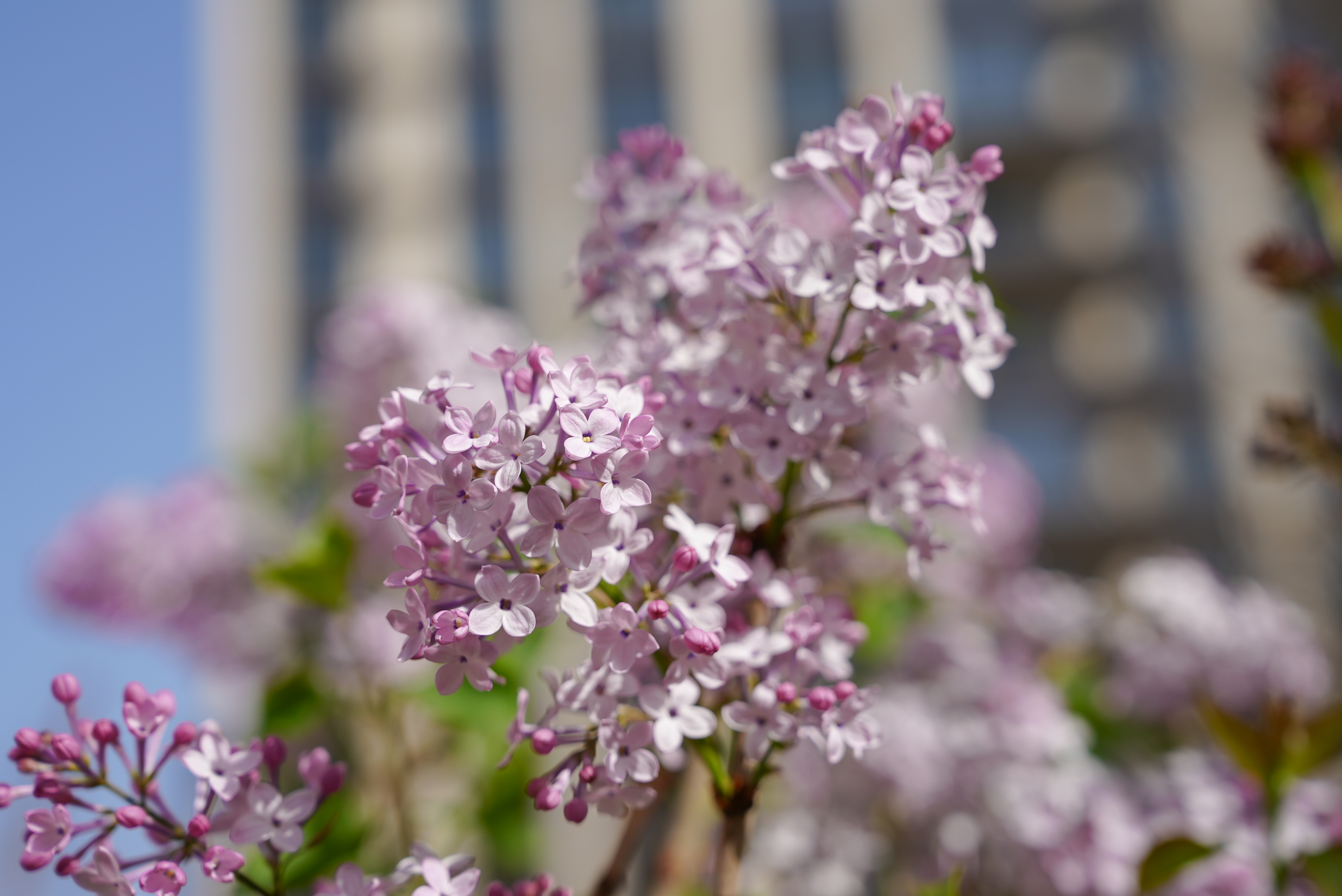 DSC07620.jpg