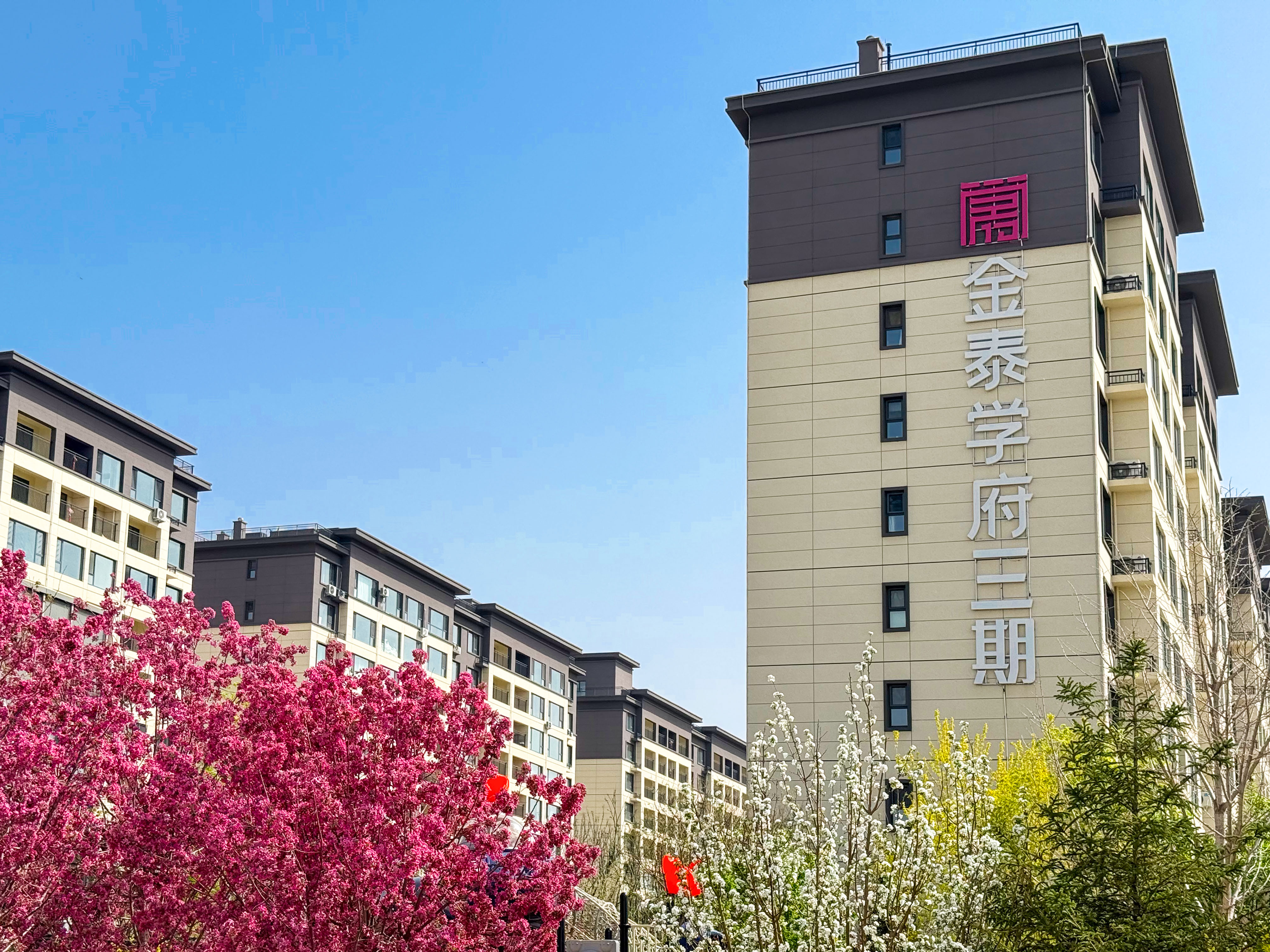 “藏”在园区里的春天｜花开正好，莫负春光