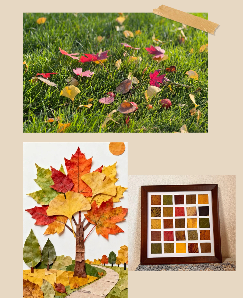 京城捡秋指南2 (4)的副本.jpg