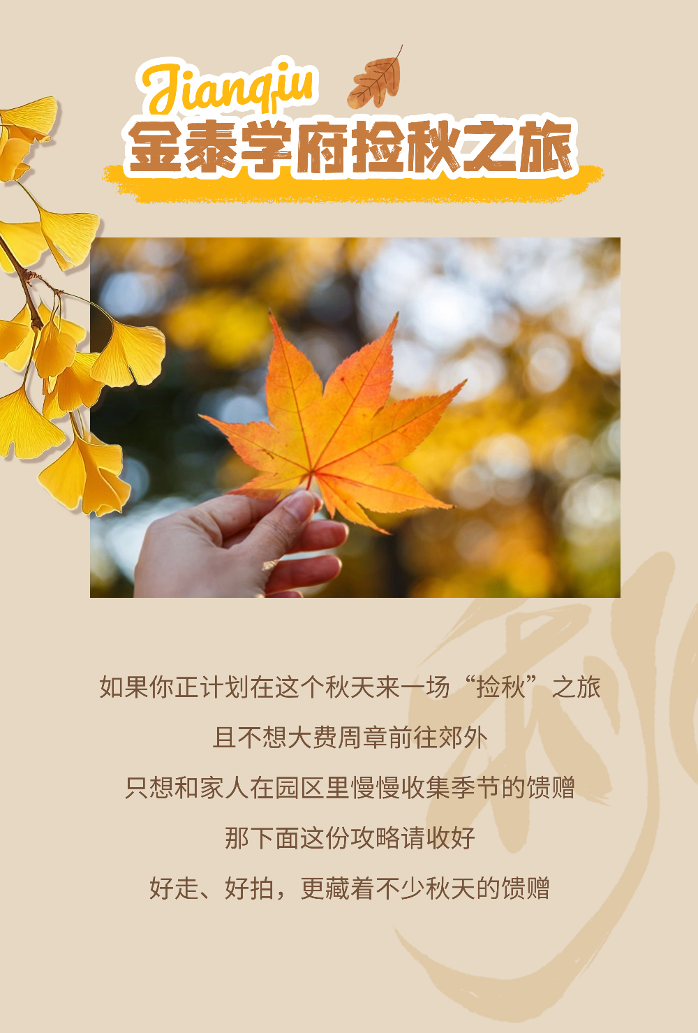 独属于秋天的浪漫：“捡秋”